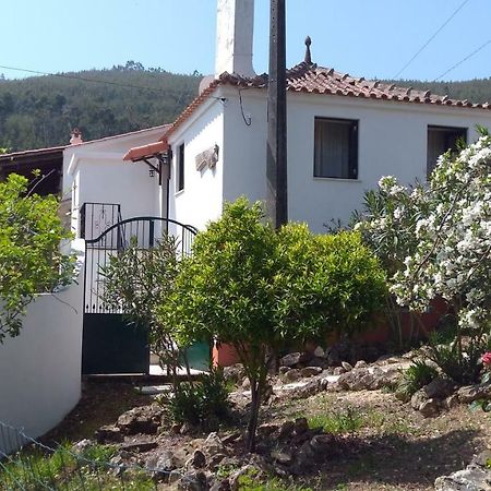 Willa Casa Da Milharica Figueiro Dos Vinhos Zewnętrze zdjęcie