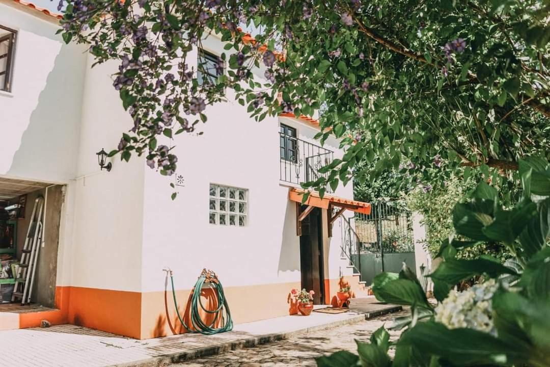 Willa Casa Da Milharica Figueiro Dos Vinhos Zewnętrze zdjęcie